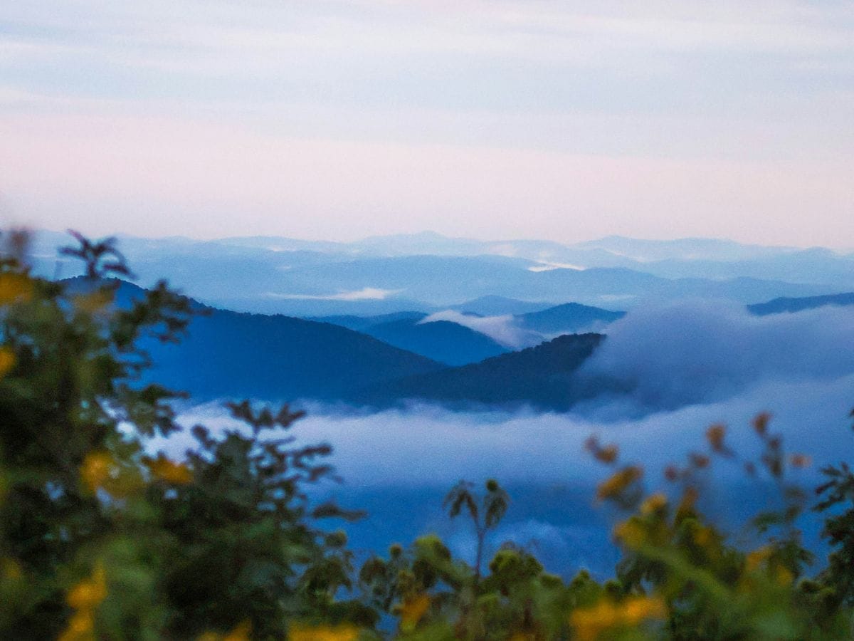 Morning fog in the Blue Ridge Mountains